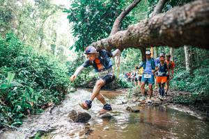 BIB: 
                            <button type="button" onclick="openModal(25373336)" class="btn btn-primary btn-sm float-right btn-popup" data-toggle="modal" data-target=".modal-high-quality">
                        <i class="fas fa-shopping-cart"></i> Add to Cart
                    </button>
                                            <button type="button" onclick="isThisMe(25373336, true)" class="btn btn-success btn-sm float-right btn-popup btn-isme hidden" data-toggle="tooltip" data-placement="bottom" title="นี่คือรูปของคุณใช่ไหม คลิกที่นี่เพื่อเอาเข้าอัลบั้ม">
                        <i class="fas fa-plus"></i> Add to album
                    </button>
                    <button type="button" onclick="isThisMe(25373336, false)" class="btn btn-warning btn-sm float-right btn-popup btn-isnotme hidden">
                        <i class="fas fa-ban"></i> Remove from album
                    </button>